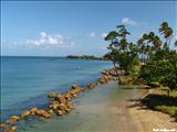 Isla de Cabra - TOA BAJA